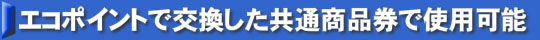 �G�R�|�C���g�Ō����������ʏ��i���Ŏg�p�\ �G�R�|�C���g�e���r